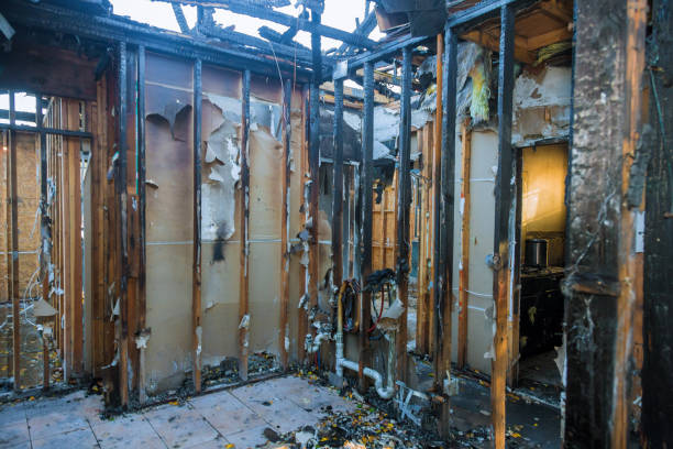 Professional Fire Damage Removal technician working in Lake City, AR